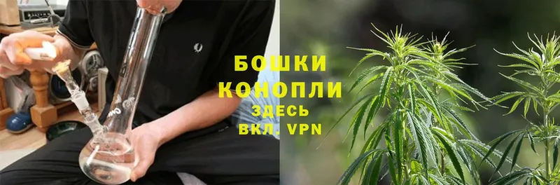 магазин продажи наркотиков  Заринск  Канабис LSD WEED 